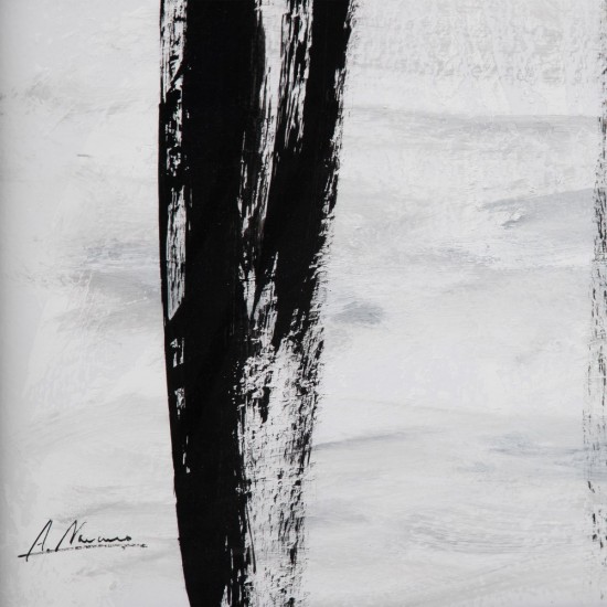 CUADRO PINTURA 2/M NEGRO-BLANCO 73,50 X 2,50 X 153,50 CM