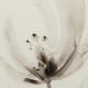 CUADRO PINTURA FLOR 3/M MADERA / CRISTAL 51 X 4 X 79 CM CUADRO PINTURA FLOR 3/M MADERA / CRISTAL 51 X 4 X 79 CM
